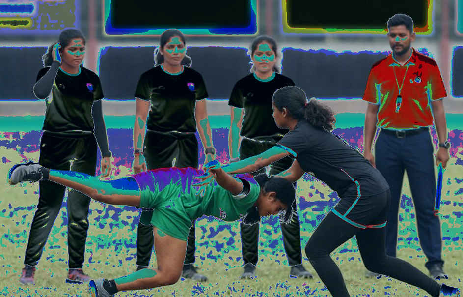 ছয় ফুটের লাফ, ২৫ পয়েন্টের ফাঁক: নাগোয়ায় ভারতের কাবাডি শিরোপা-হিসাবের আসল খাতা
