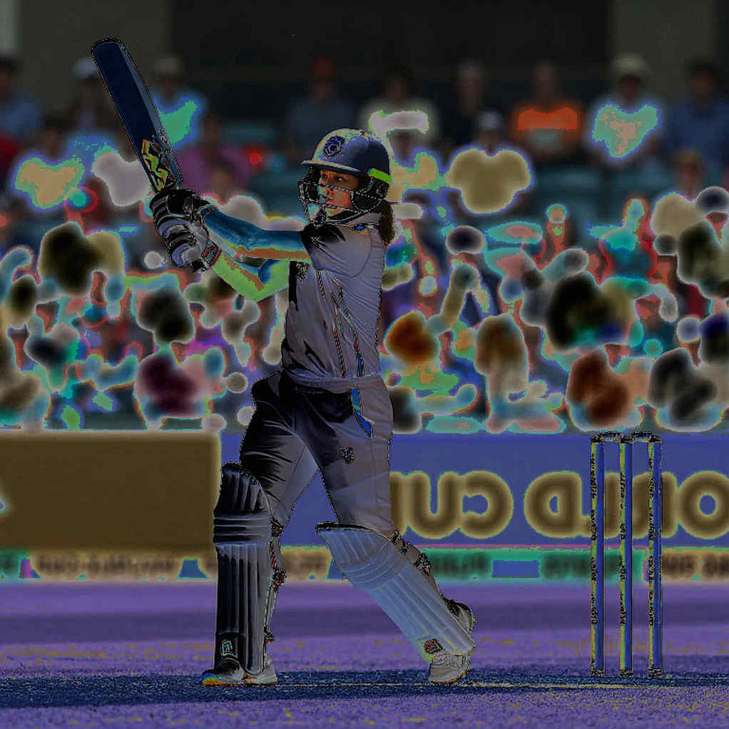 Cricket Buried Under Smart Contracts: Gulf Leagues, NOCs and the Stratigraphy of Fan Tokens Cricket Buried Under Smart Contracts: Gulf Leagues, NOCs and the Stratigraphy of Fan Tokens